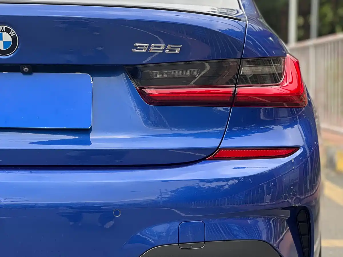 BMW 3 Series 2020 325Li M Sport Black Night Package фото 17
