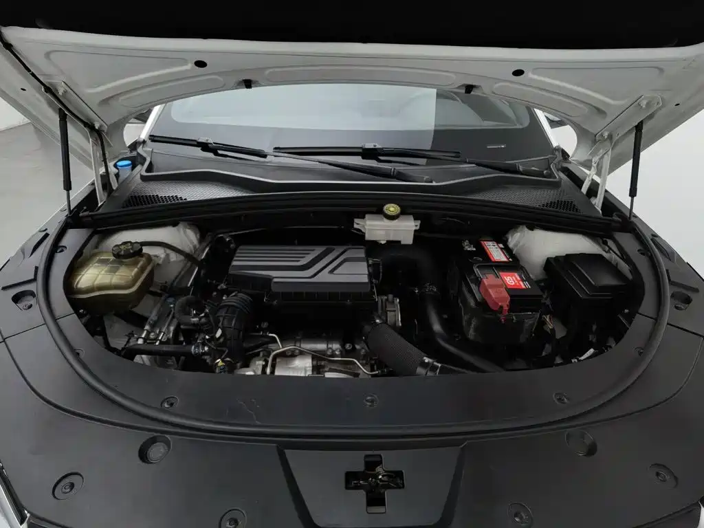 صورة 6 - BYD Song PLUS