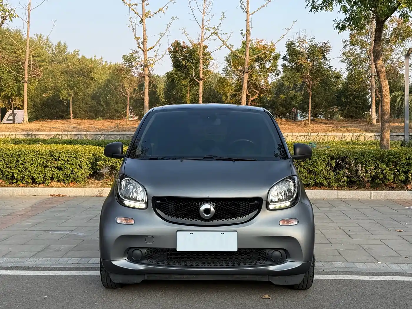 smart fortwo 2018 2018 1.0L 52kW Hardtop Passion Edition China V