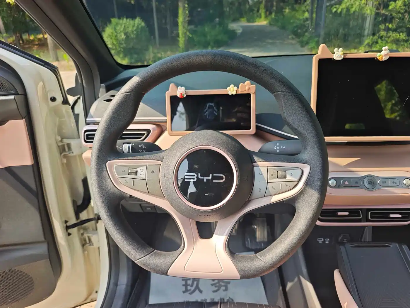 BYD Seagull 2025 Smart Drive Edition 305km Vitality Version фото 13