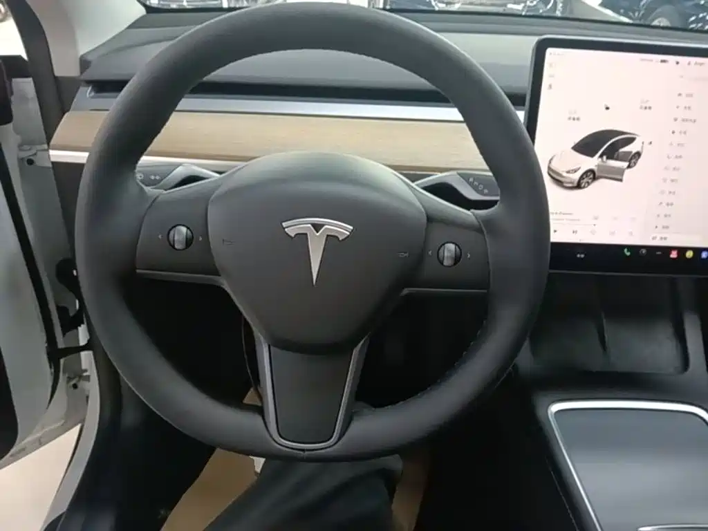 Tesla Model Y 2021 2021 Standard Range Rear-Wheel Drive