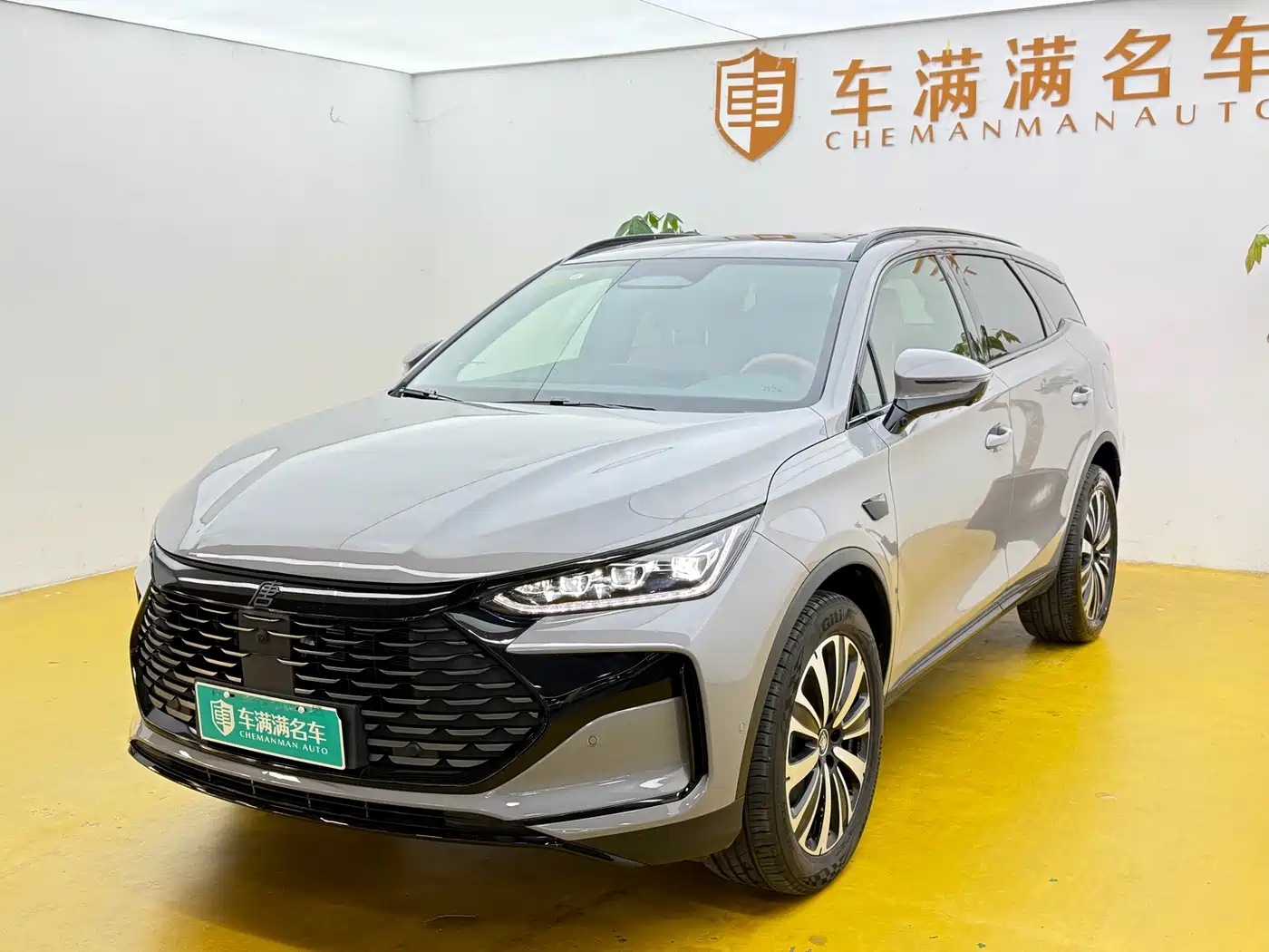2026 BYD Tang New Energy