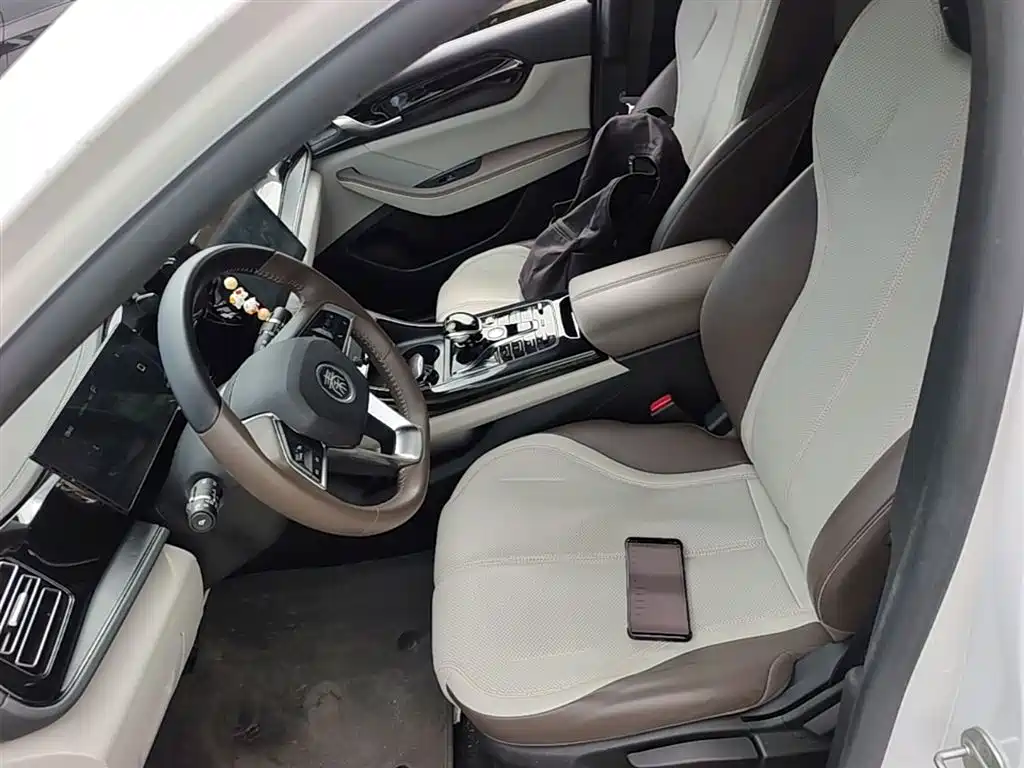 BYD Qin PLUS 2024 Glory Edition DM-i 55KM Leading фото 8