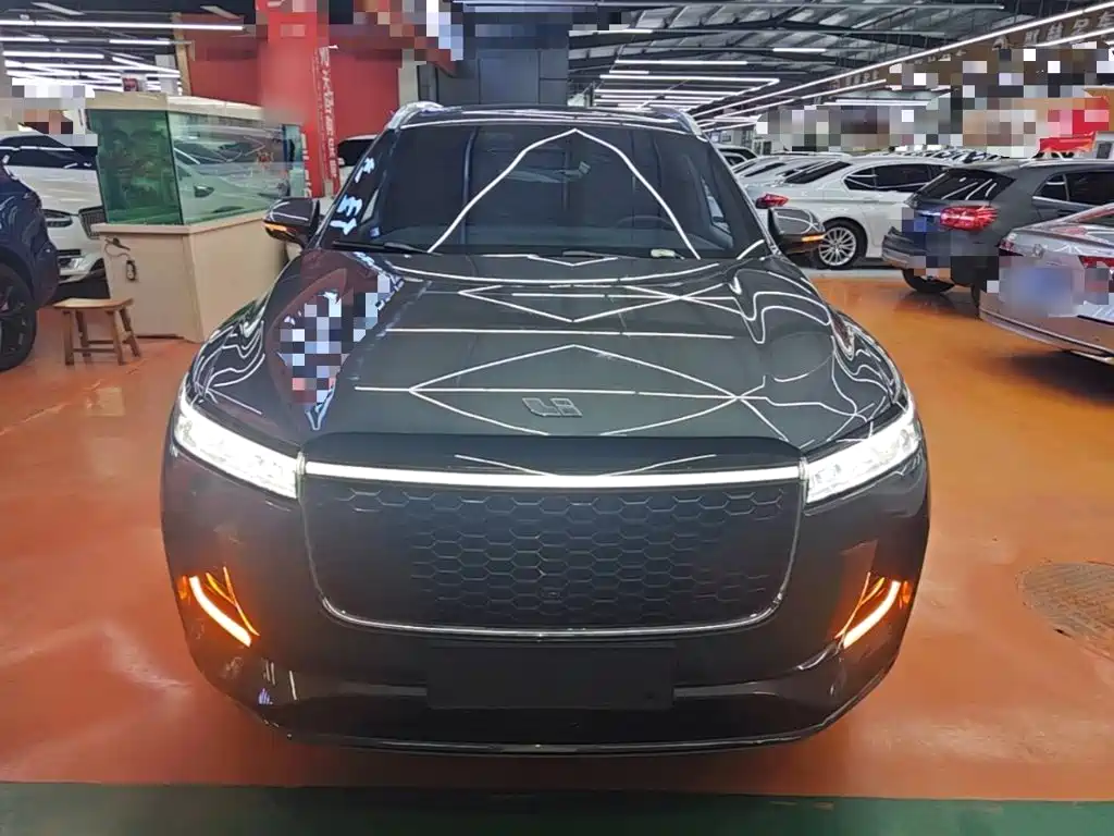Фото 3 - Li Auto Li ONE