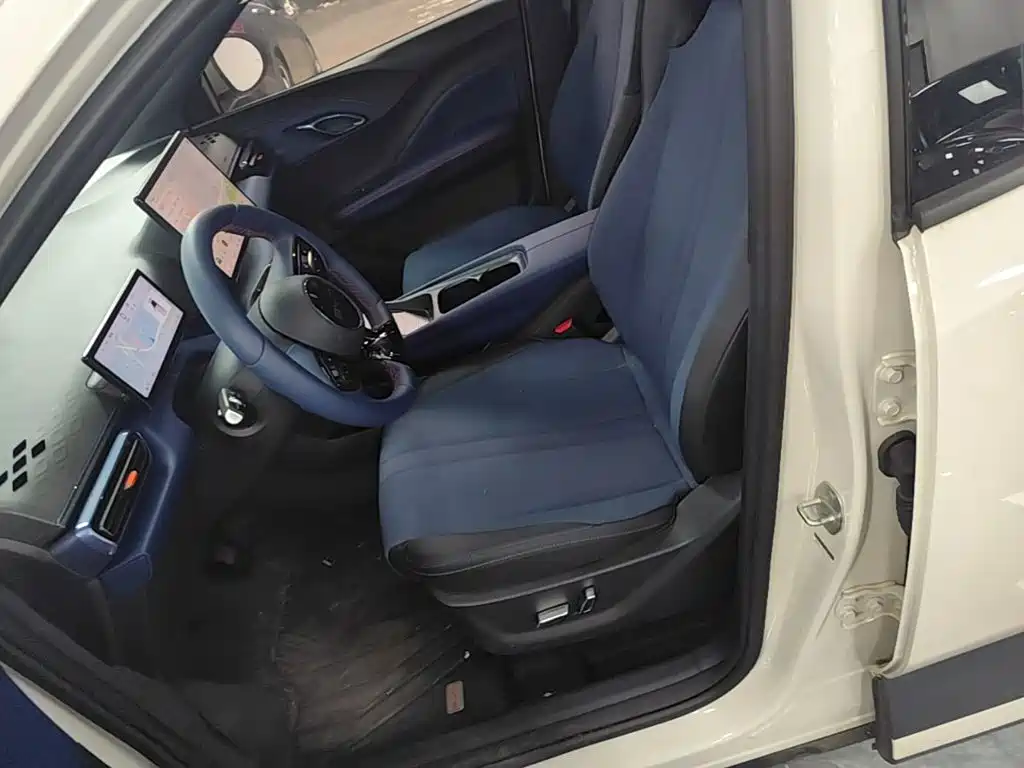 BYD Seagull 2026 2025 Smart Drive Edition 305km Freedom Version
