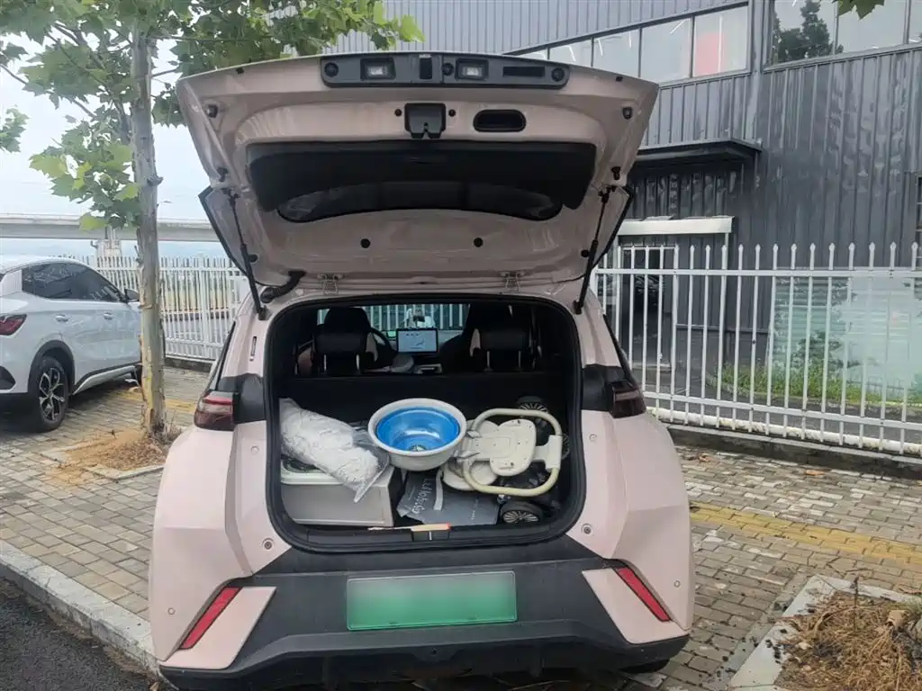 BYD Seagull 2023 Vitality Edition фото 19