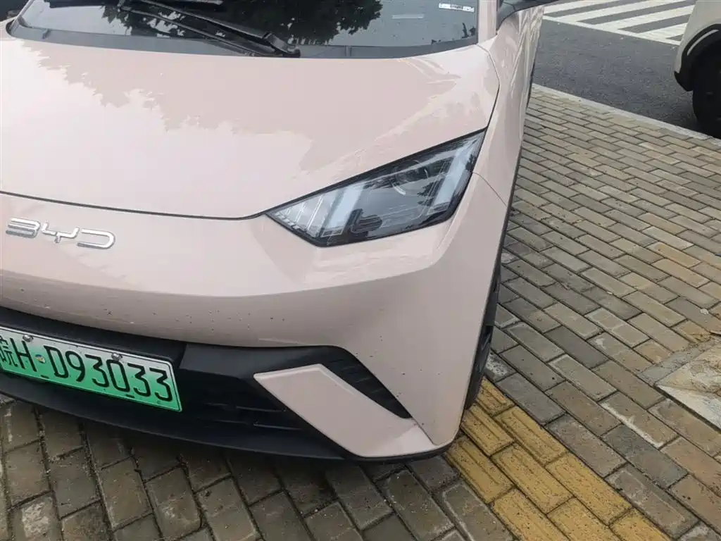 BYD Seagull 2023 Vitality Edition фото 24