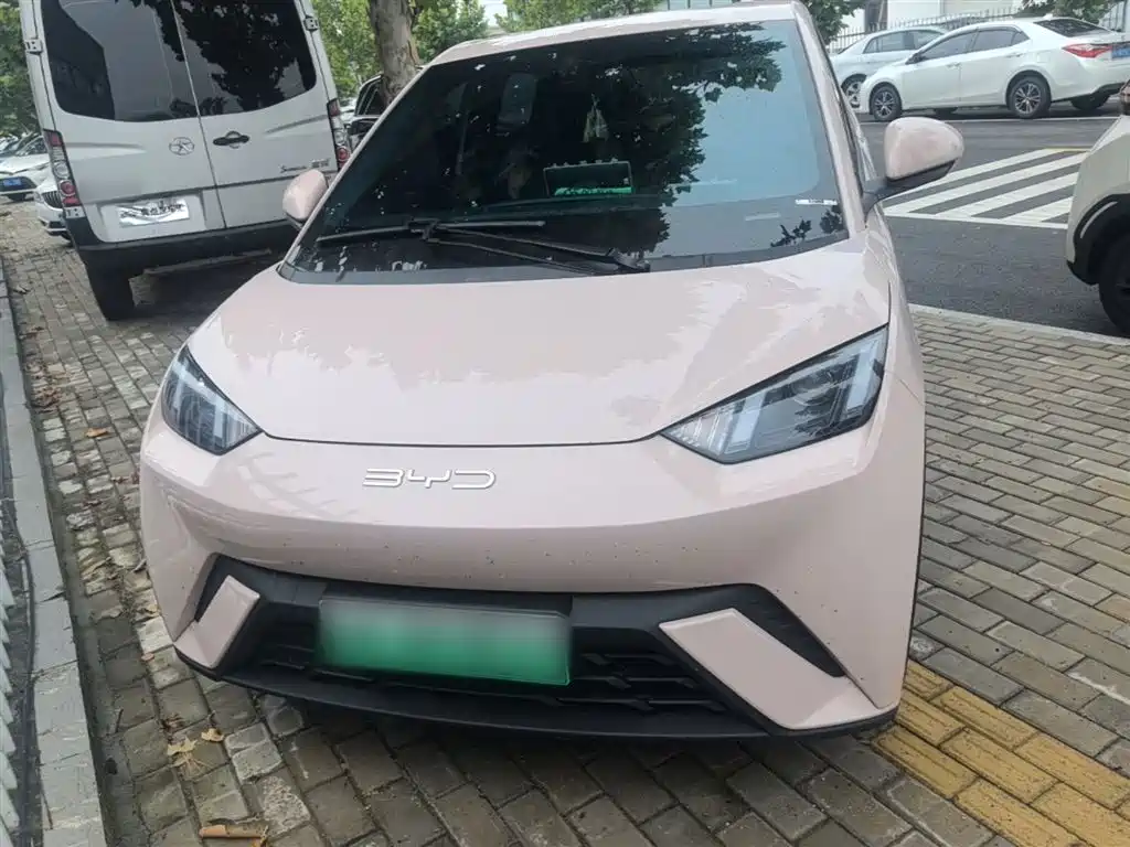 BYD Seagull 2023 Vitality Edition фото 3