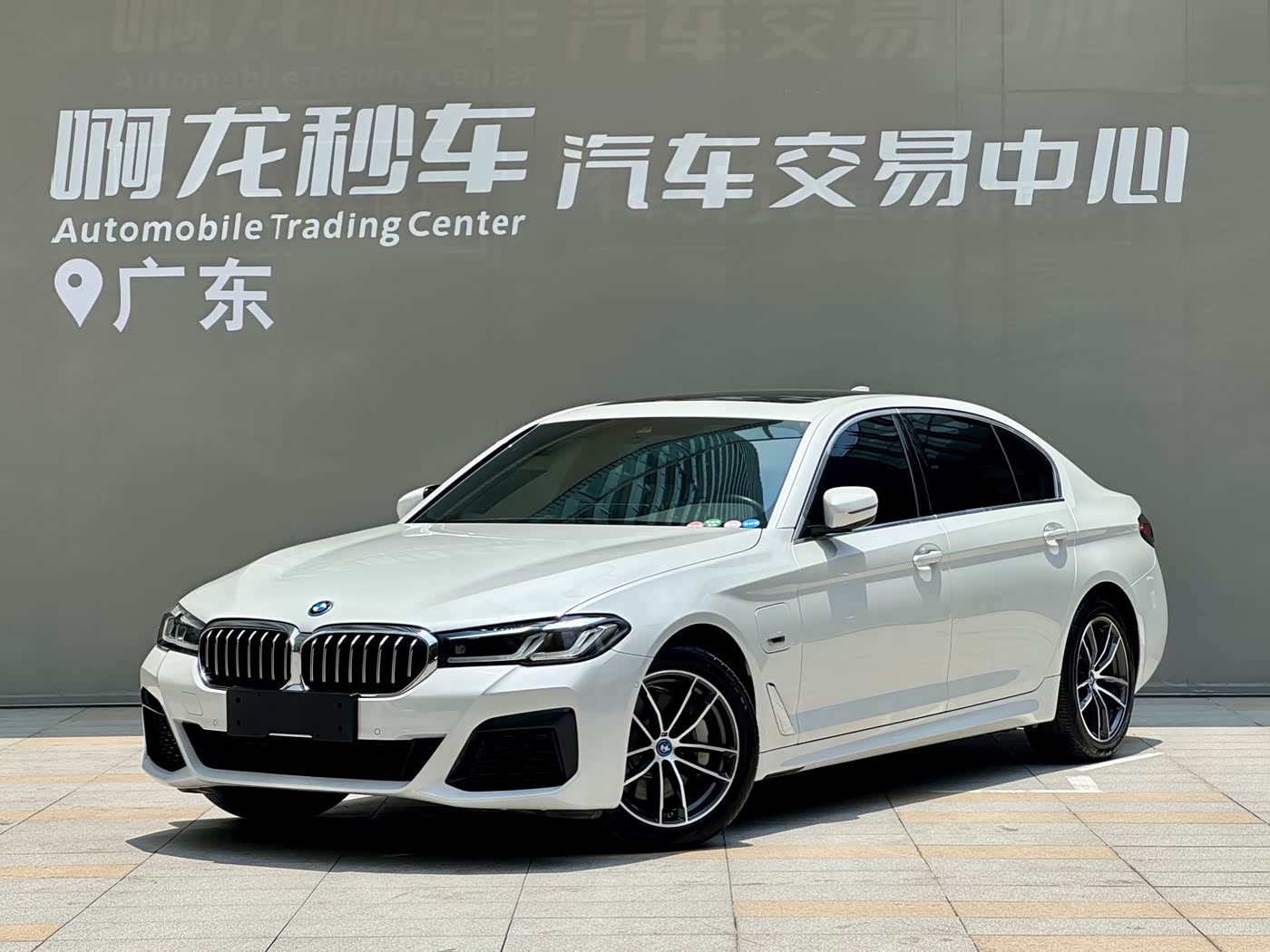 BMW 5 Series New Energy