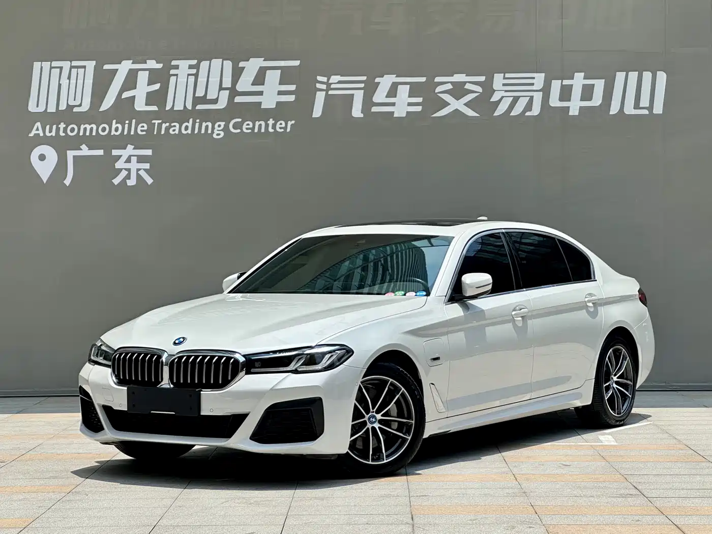 BMW 5 Series New Energy 2022