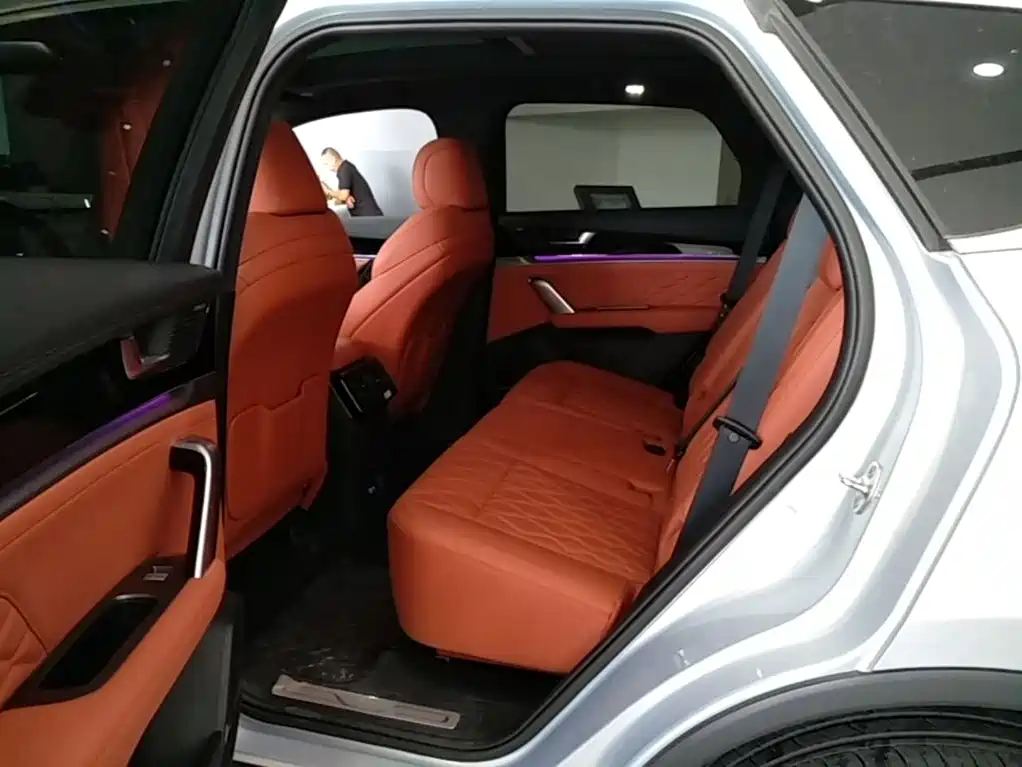 BYD Tang New Energy 2025 2026 Smart Drive Edition DM-i 160KM Premium