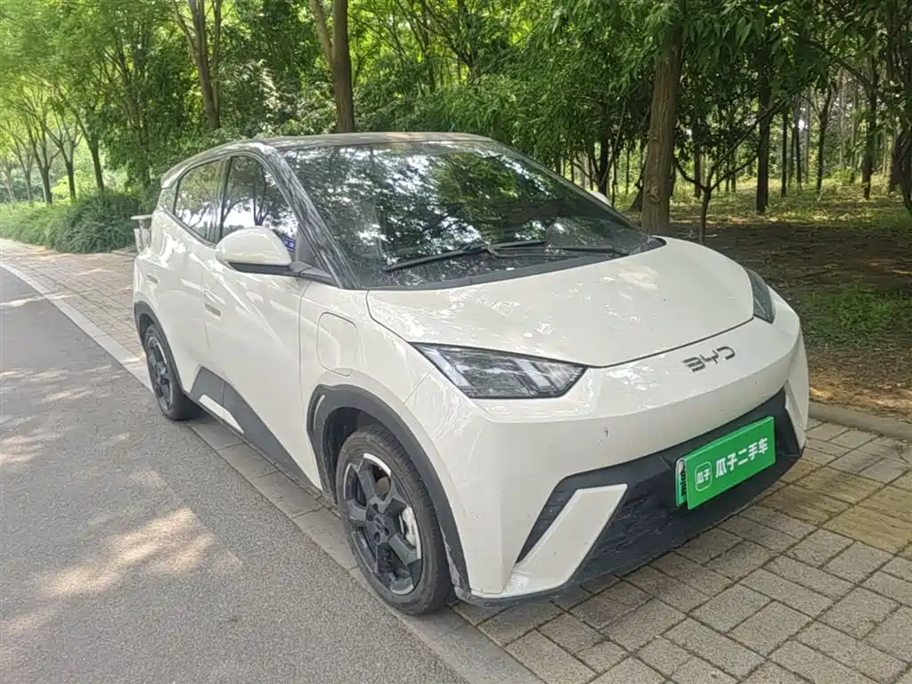 BYD Seagull 2024 Glory Edition 305km Freedom Edition фото 4