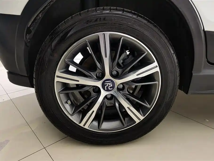BYD Yuan New Energy 2019 EV535 High Energy Navigation Edition фото 6