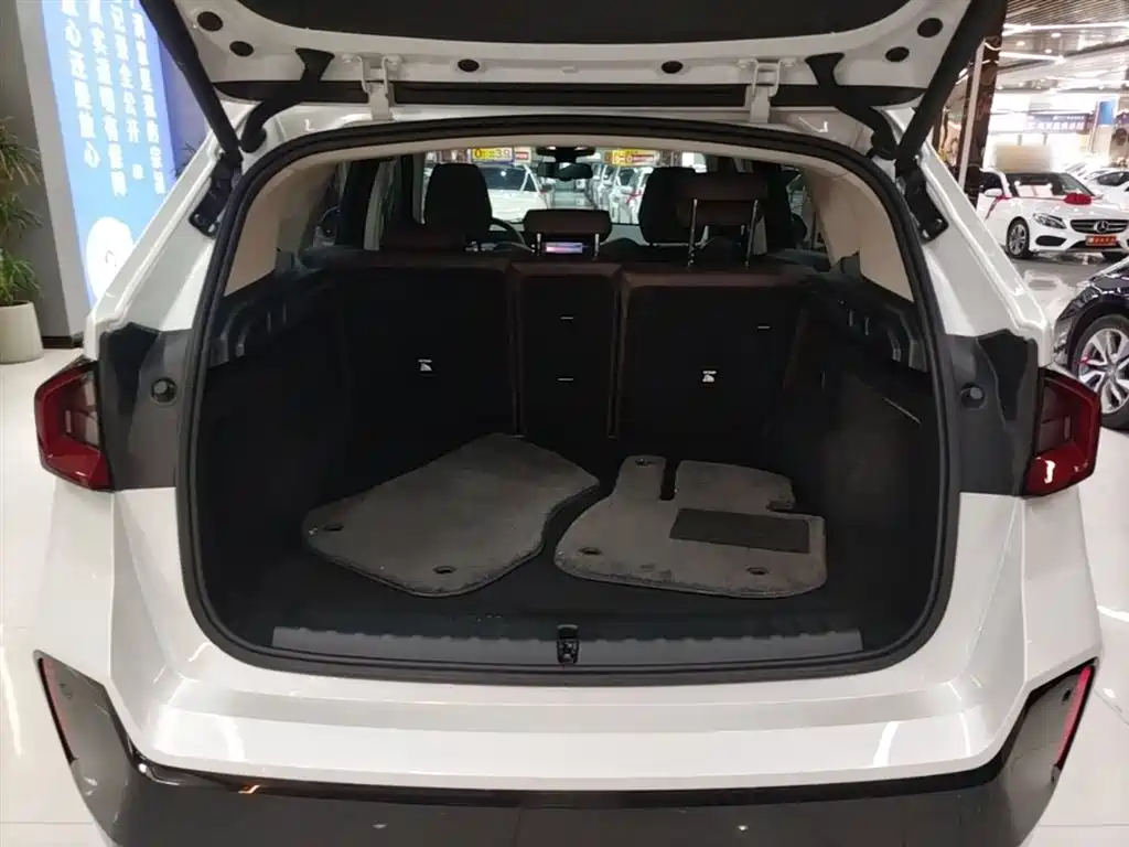 BMW iX1 2023 eDrive25L M Sport Package фото 19