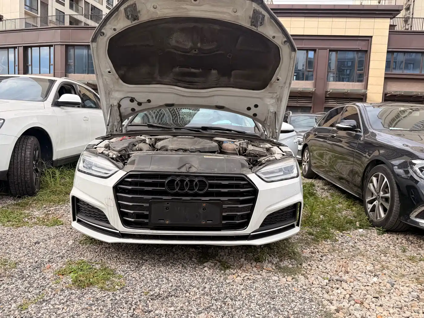 Audi A5 (Import) 2017 2017 Coupe 40 TFSI Style