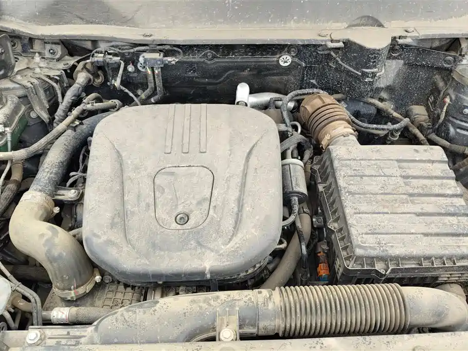 Haval Meng Long NEV 2024 Hi4 145 Pro фото 10