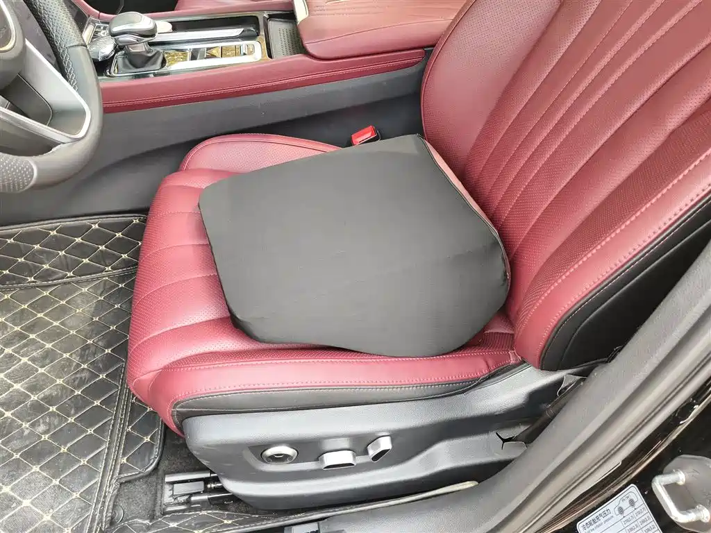 Hongqi H5 2024 2.0T Automatic Smart Connect Flag Smooth Edition фото 8