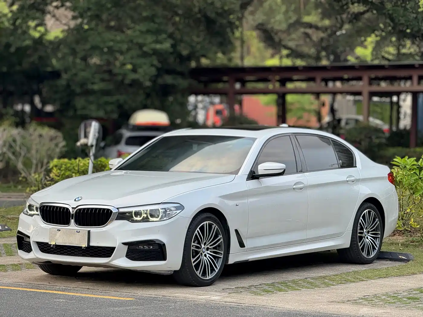 BMW 5 Series 2019 530Li Leading M Sport Package фото 2