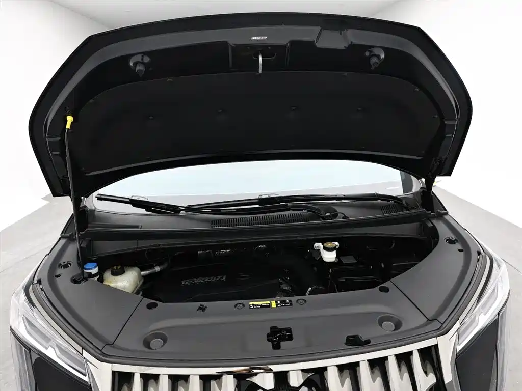 GAC Trumpchi Trumpchi M8 2024 Model Grandmaster Series 400T Pioneer Edition фото 18