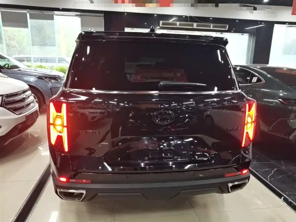 GAC Trumpchi Trumpchi GS8 2024 Navigator Series 2.0TGDI 2WD Luxury Smart Connect Edition фото 6