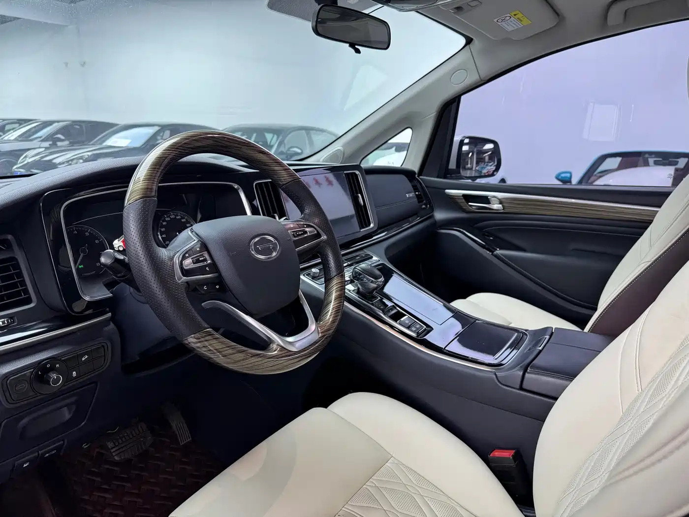 GAC Trumpchi Trumpchi M8 2021 Leading Show Series 390T Premium Edition фото 6