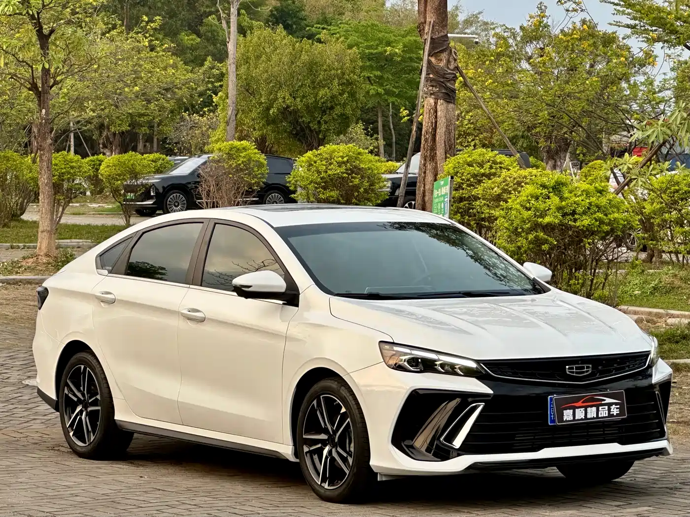 GEELY AUTOMOBILE BINRUI