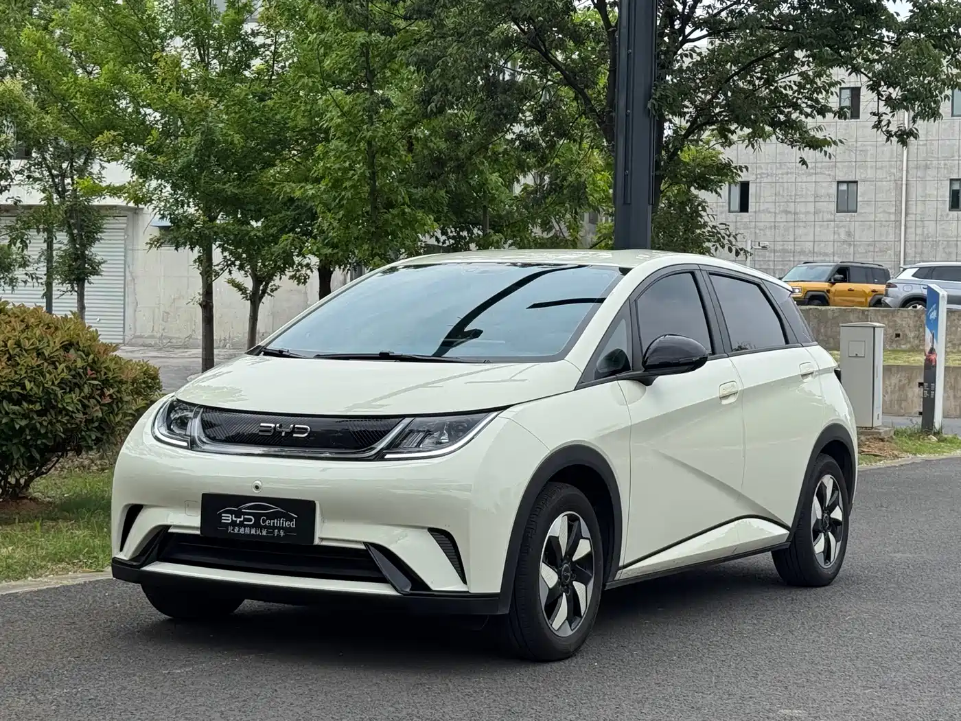 BYD Dolphin 2025 420km Freedom Edition