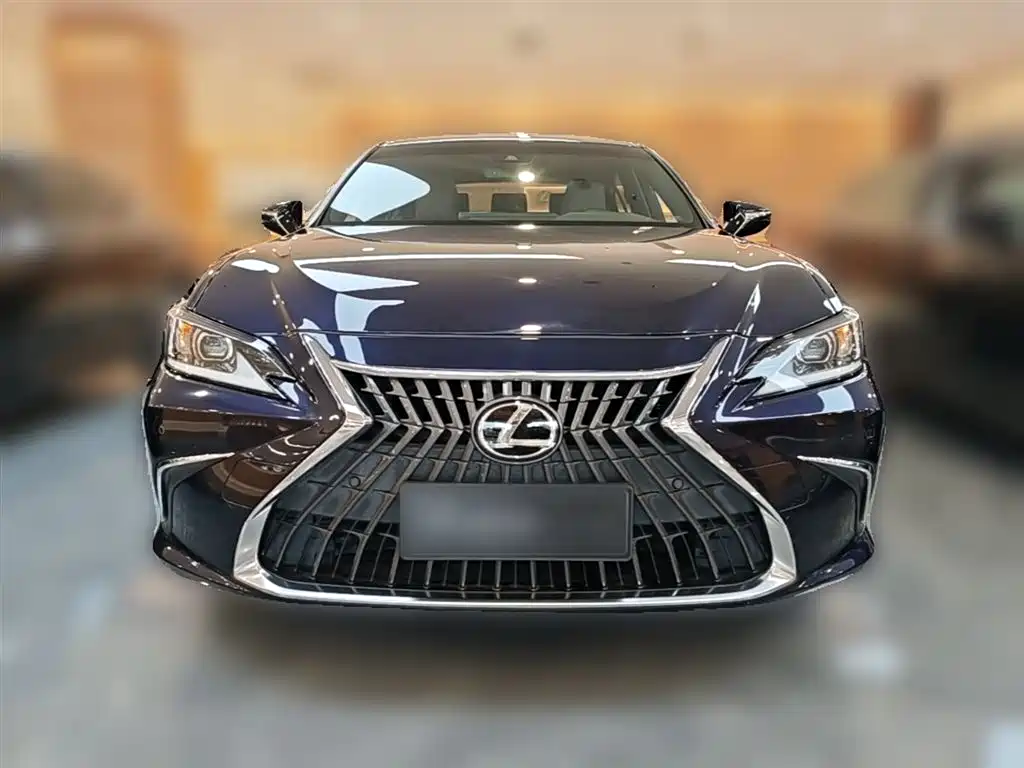Lexus ES 2022 200 Excellence Edition фото 5