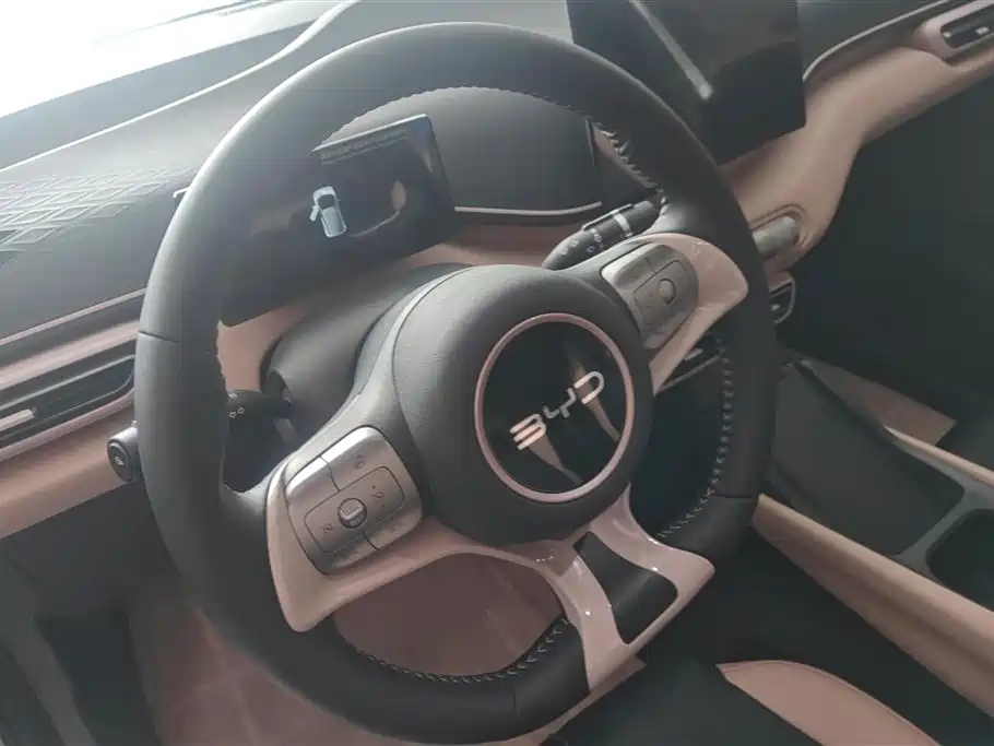 BYD Seagull 2024 Glory Edition 305km Freedom Edition фото 15
