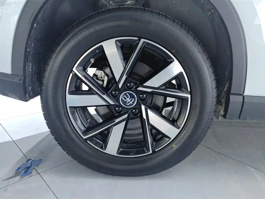 BYD Song Pro New Energy 2024 Glory Edition DM-i 71KM Pilot фото 6