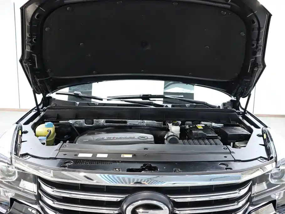 GAC Trumpchi Trumpchi GS8 2017 320T 2WD Luxury Edition (7-Seater) фото 31