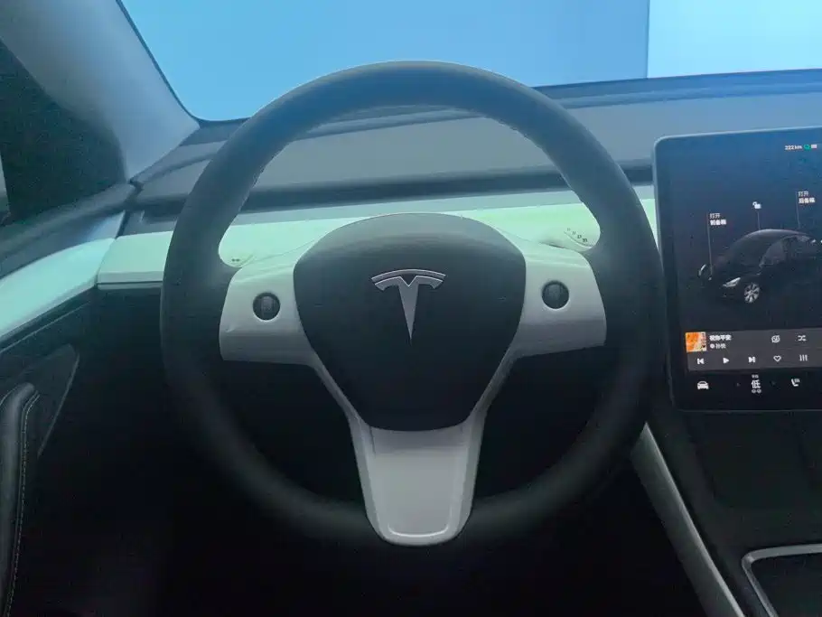 Tesla Model Y 2021 2021 Standard Range Rear-Wheel Drive