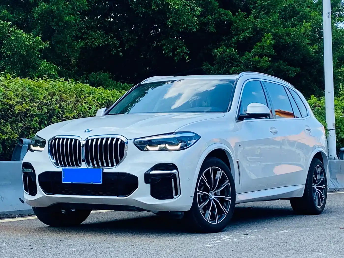 BMW X5 2022 2022 xDrive 30Li M Sport Package