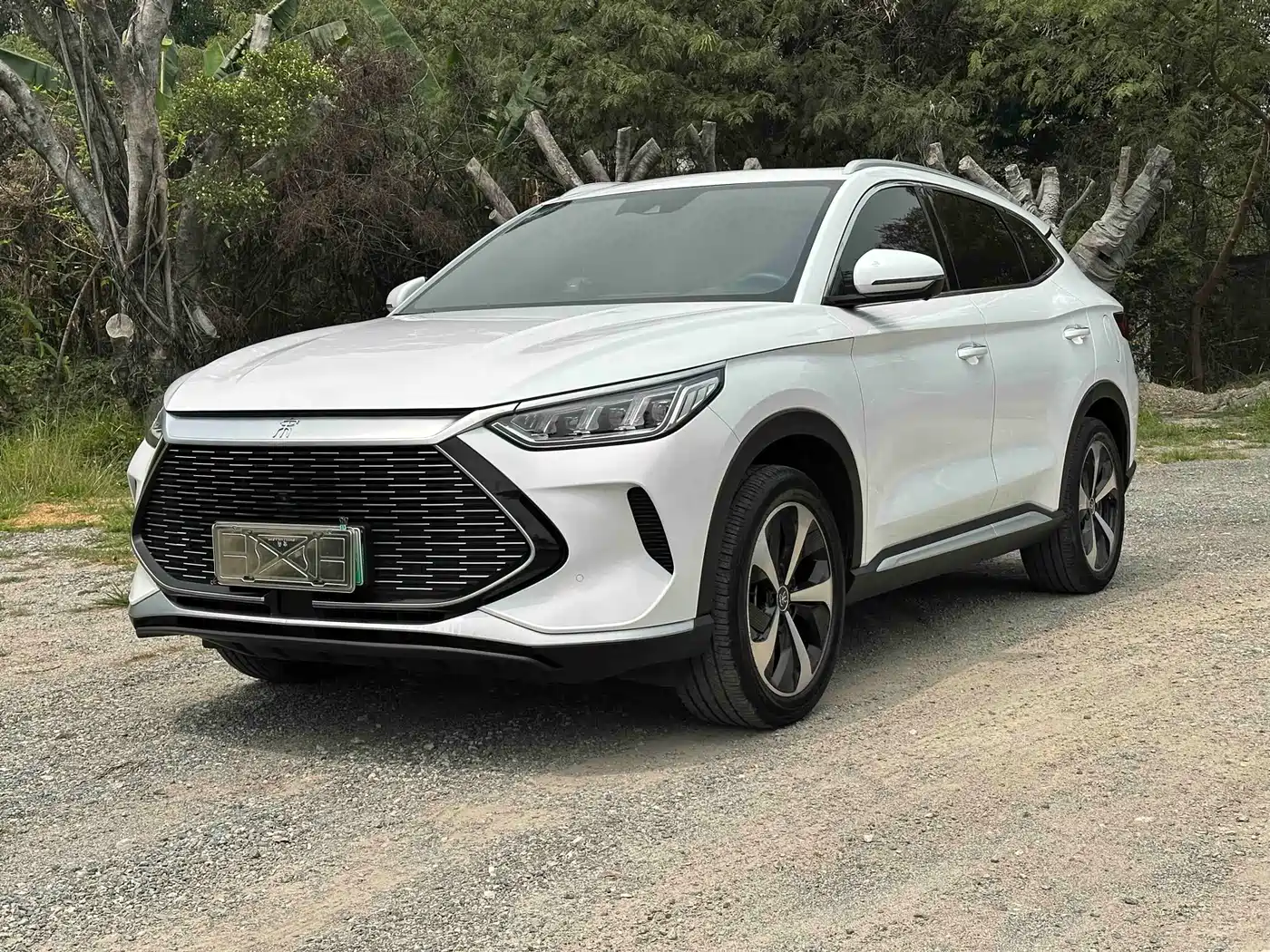 BYD Song PLUS PHEV 2021 DM-i 51KM Honor