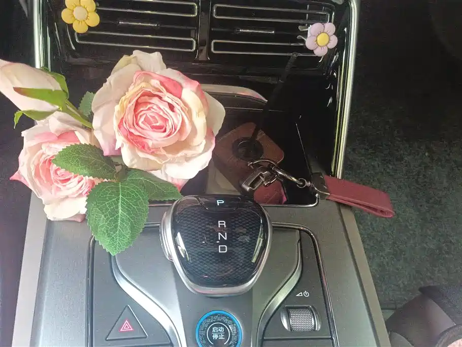 BYD Tang New Energy 2025 Smart Driving Edition DM-i 115KM Premium фото 15