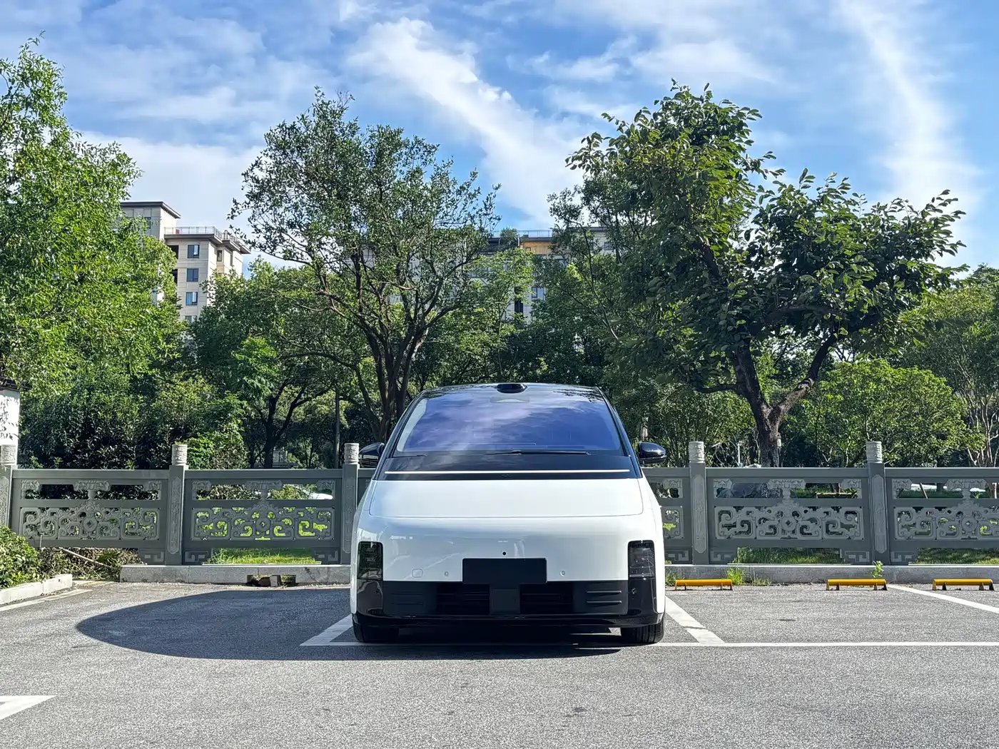 Li Auto MEGA 2025 2025 Model Home Family Special Edition