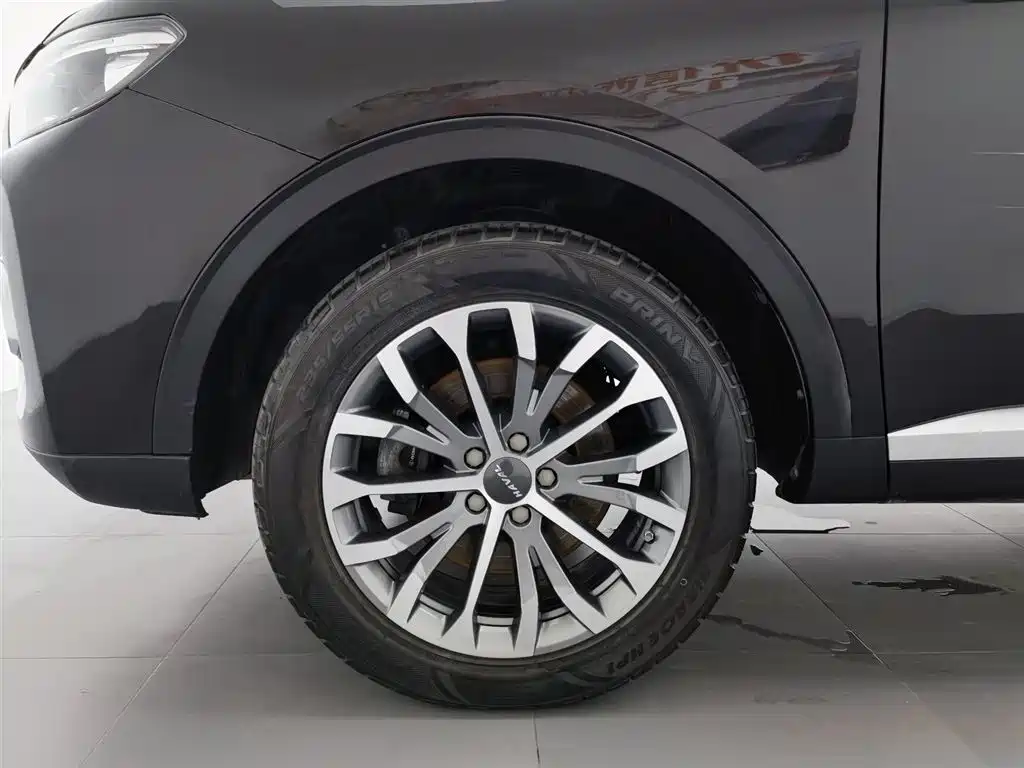 Haval H6 2020 1.5GDIT Automatic Platinum Champion Edition фото 17