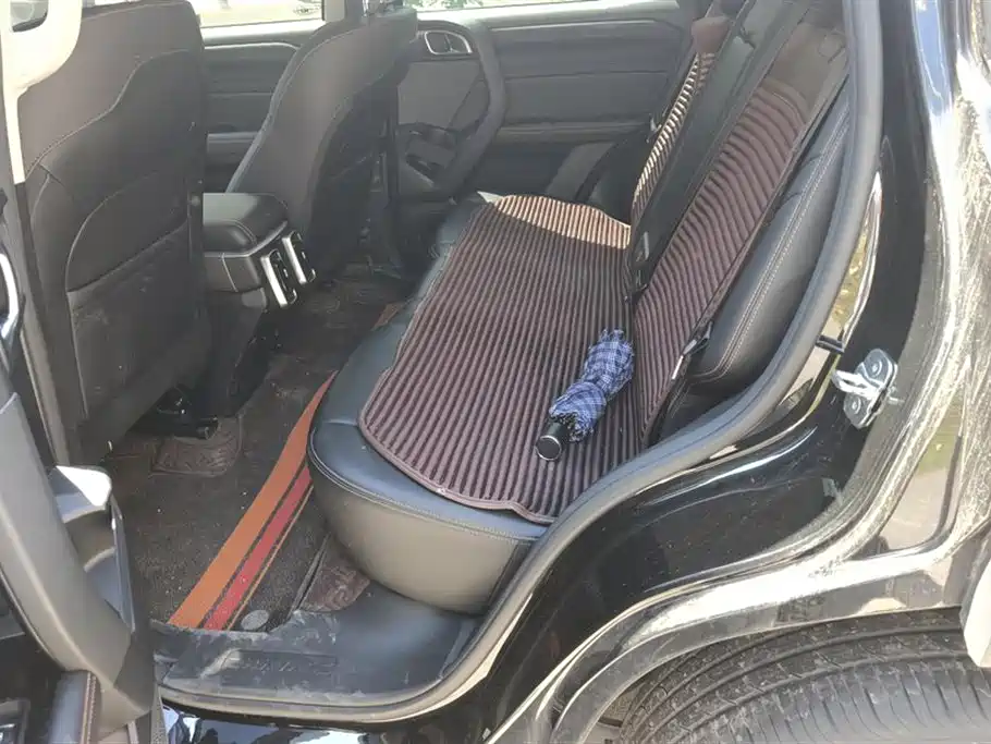 Haval Big Dog 2024 1.5T DCT Border Collie Edition фото 11