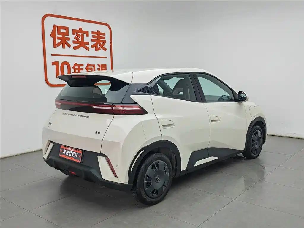 BYD Seagull 2023 Vitality Edition фото 2