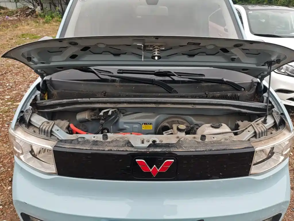 Wuling Motors Hongguang MINIEV 2020 2020 Enjoy Edition NCM