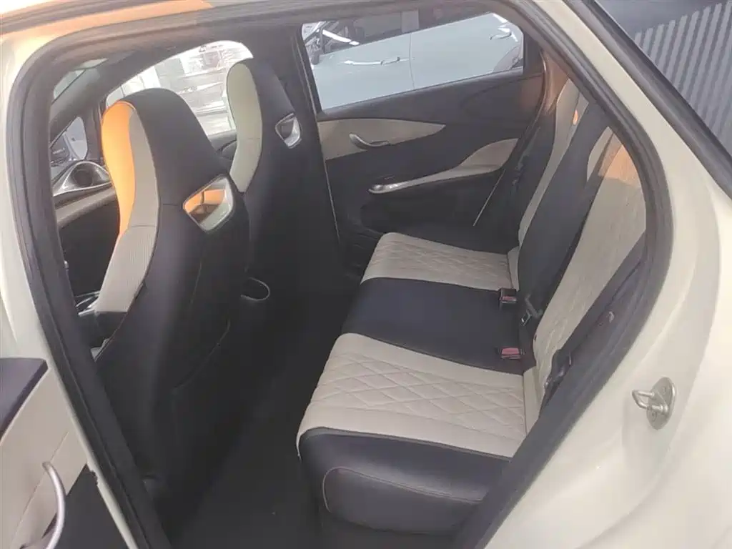BYD Dolphin 2021 Model 405km Fashion Edition фото 13