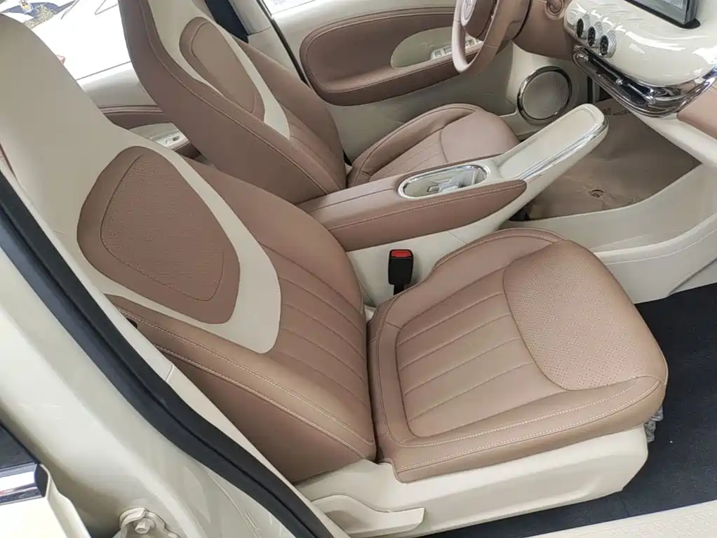 Wuling Motors Wuling Bingo 2026 2025 Model 333km Joy Edition