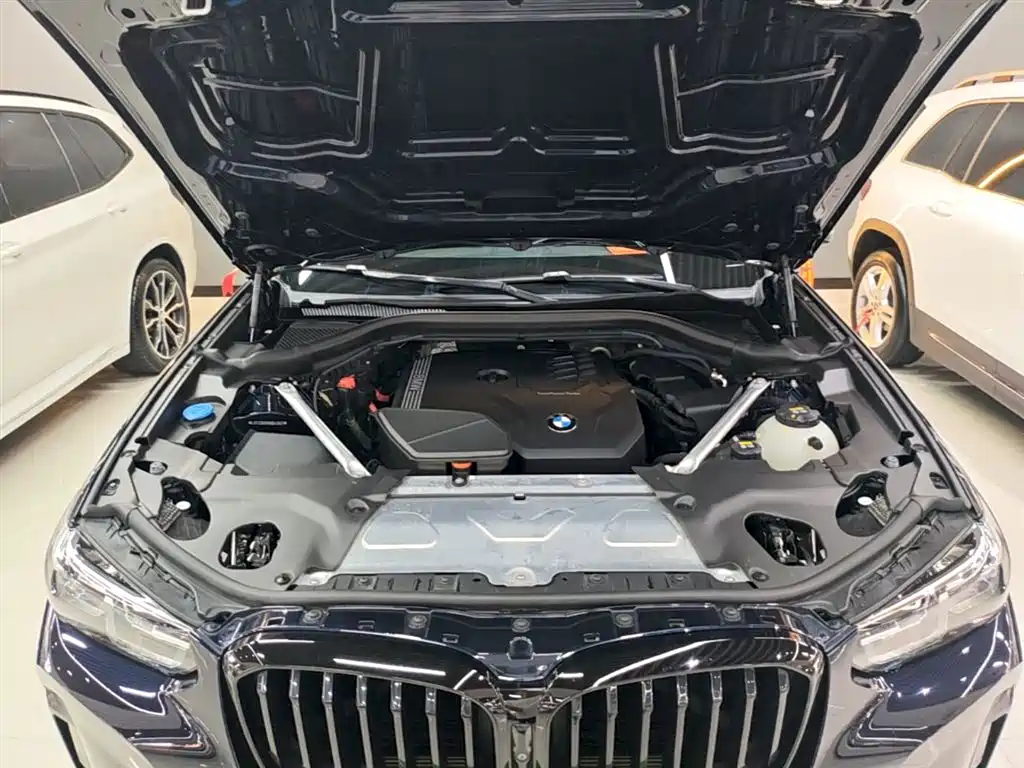 BMW X3 2022 Model Second Facelift xDrive30i Leading M Night Package фото 20