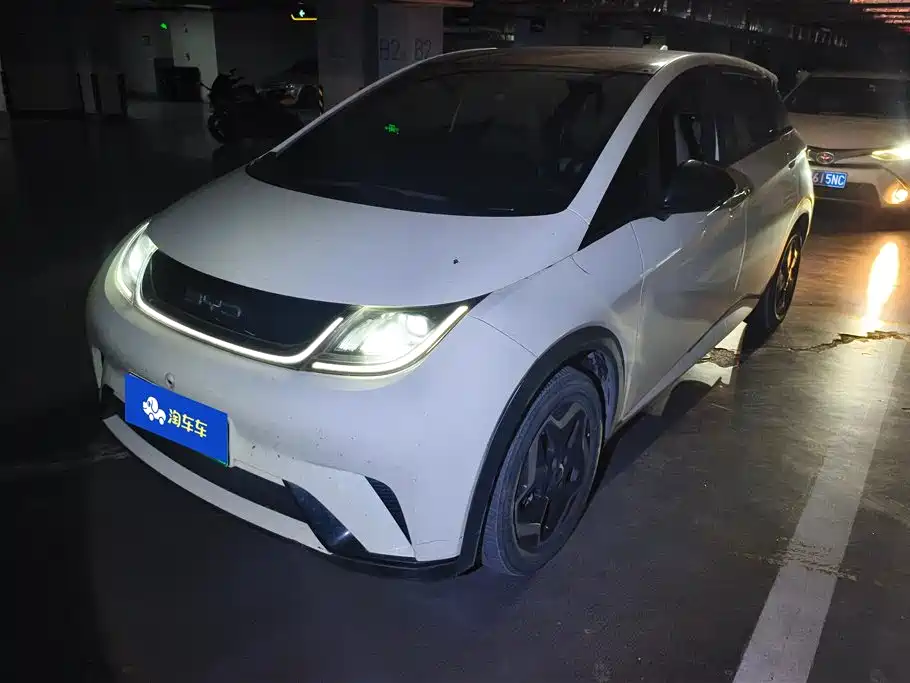 BYD Dolphin 2021 Model 405km Fashion Edition