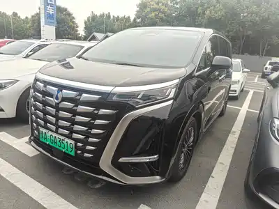 Denza D9