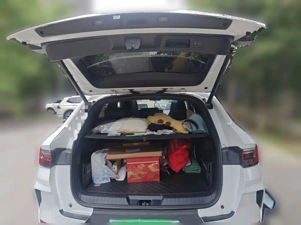 BYD Song PLUS PHEV 2021 2021 DM-i 51KM Honor