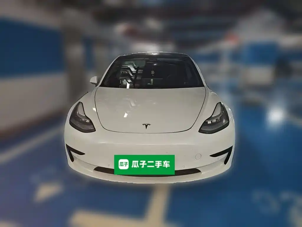 Tesla Model 3 (Import) 2019 2019 Standard Range RWD Upgraded Edition
