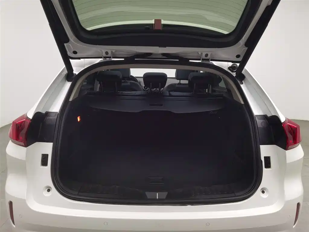 WEI PAI WEI BRAND VV5