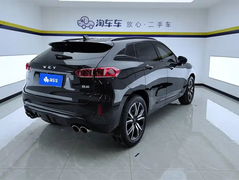 WEI PAI WEI BRAND VV7