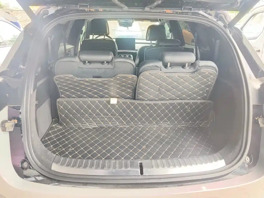 Denza X 2021 2020 Model PHEV Flagship Edition